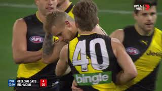 Qualifying Final 2  Geelong v Richmond Highlights [upl. by Edmunda]