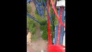 Sheikra  Busch Gardens Tampa front row [upl. by Esoj]