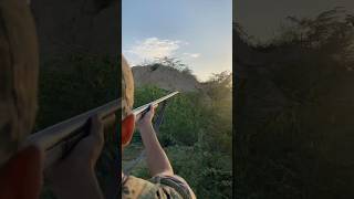 Single barrel Shotgun Hunting youtubeshorts weapon shotgun 30borepistol 12Gauge duck hunting [upl. by Nickola312]