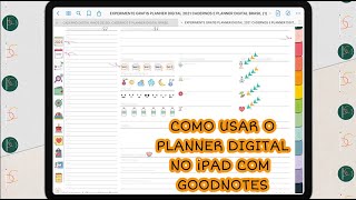 COMO USAR O PLANNER DIGITAL GRATUITO NO iPAD COM APP GOODNOTES [upl. by Nnylrebma21]