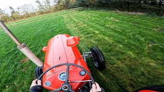 Massey Ferguson 35 3 Cyl Perkins Diesel  Cutting Grass  POV [upl. by Suiddaht995]