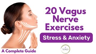 20 Vagus Nerve Exercises for Stress and Anxiety Complete Guide to Help Rewire Brain [upl. by Teews]