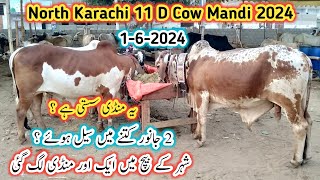 North Karachi 11 D Cow Mandi Latest Update l Cow Mandi Karachi l Cow Mandi 2024 l [upl. by Sarge374]