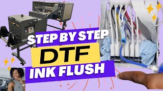 HOW TO FLUSH DTF PRINTER INK  Flushing Ink lines on DTF 12H2 Printer [upl. by Corder]