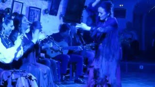 Las Cuevas quotLos Tarantosquot3 Flamenco Spain（洞窟フラメンコ ロス・タラントス） [upl. by Ashleigh]