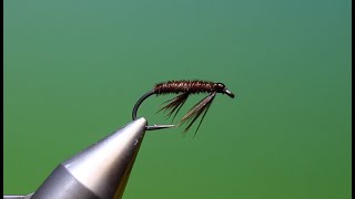 Teeny Nymph  by Barry Ord Clarke [upl. by Griffith]