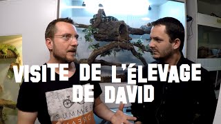 Visite de lélevage de David  un capacitaire  Partie 1 [upl. by Aicilyhp]