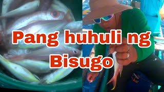 Isdang Bisugo  Pang huhuli fishing fishing fishingvideo viralvideo fish [upl. by Lrak]