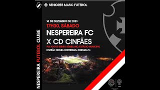 Nespereira FC  CD Cinfães [upl. by Ecitnirp]