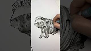 Inktober Day 8 Baby Pygmy Hippo moodeng pygmyhippo drawing inktober ink shorts art hippo [upl. by Adniuqal]