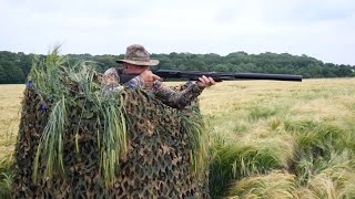 Pigeons over barley with Geoff Garrod [upl. by Hannibal]