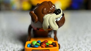 Mad Dog beware dont get his favorite MampM Chocolates ASMR 🤣scary angry dog funnytoy asmr toys [upl. by Paine278]