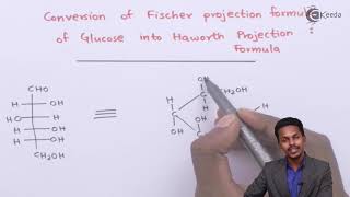 Conversion of Fischer Projection of Glucose to Haworth Projection Formula  Biomolecules [upl. by Paulo]