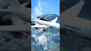 Plane and bird crash 😰animation shorts ytshorts [upl. by Hephzipah]