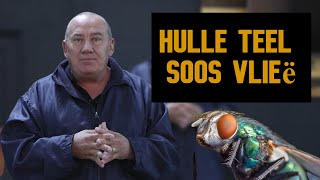 Teel aan soos vlieë  Willem van Wyk [upl. by Aziaf]