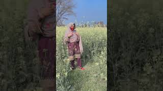 baharo Mera Jeevan samarohmalikkashifshort shortvideo shorts [upl. by Ardnaeed]