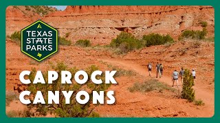 Caprock Canyons State Park [upl. by Oneal]