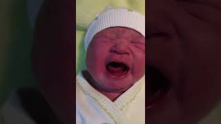 baby crying short video [upl. by Allsun915]