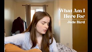 What Am I Here For  Jade Bird  Cover [upl. by Elicia469]