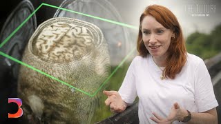 What If Pain Could Be Made Optional  The Future With Hannah Fry [upl. by Funch456]