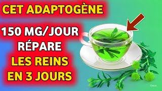 Cet ADAPTOGÈNE pour abaisser rapidement le taux de créatinine  Réparez vos reins en 3 jours [upl. by Loy828]