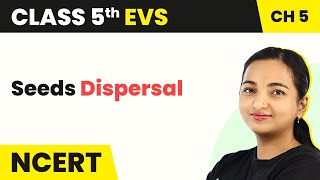 Class 5 EVS Chapter 5  Seeds Dispersal  Seeds and Seeds [upl. by Eelynnhoj]