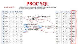 PROC SQL  3  CASE WHEN in PROC SQL  Creating a New Variable in PROC SQL using Case When Statement [upl. by Melisenda]