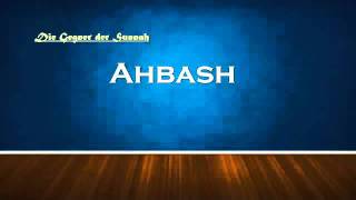 Ahmad Abul Baraa  Die Ahbash Sekte und ihre Irrlehremp4 [upl. by Holmes]