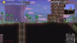 Modded Terraria Ep 9 [upl. by Rillis93]