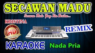 Secawan Madu Remix Karaoke Artis HD Audio Nada Pria [upl. by Ihcekn]