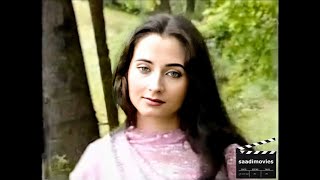 Aaiye Dil Mein Aake Na Phir Jaiye NonFilm  Salma Agha Composition by Zarina Agha [upl. by Pattison301]