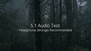 51 Audio Test  Dolby 51 Surround Sound Test [upl. by Venus349]