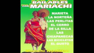 Mariachi Tepatitlan  Bailables Con Mariachi Disco Completo [upl. by Waki]