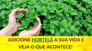 ADICIONE HORTELÃ A SUA VIDA E VEJA O QUE ACONTECE [upl. by Oliva]