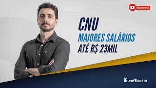 Concurso Nacional Unificado CNU  Blocos temáticos com maiores remunerações [upl. by Guillemette]