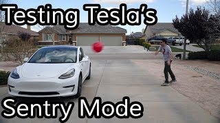 Does Teslas Sentry Mode Work [upl. by Niuq]