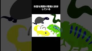 天真爛漫なダンゴムシ雑学 [upl. by Bjork201]