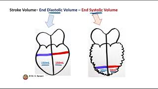 Cardiac Output Calculation [upl. by Gilda]