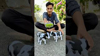 Rc Remote Control Two Cow Unboxing 🐄🔥 [upl. by Onek]