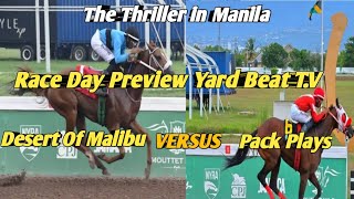 RACE DAY PREVIEW Saturday November 92024YARD BEAT TV [upl. by Hoashis]