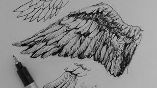 Pen amp Ink Drawing Tutorials  How to draw wings [upl. by Aneehs]