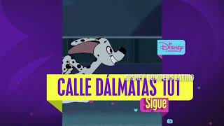 Disney Channel Latin America Sigue Bumpers Calle Dálmatas 101 and Fast Layne 2019 [upl. by Darnell]