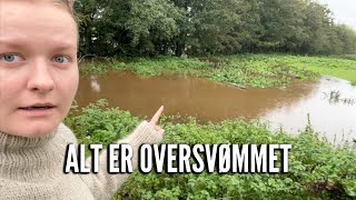 Oversvømmelse og nyt badeværelse  Livet på gården Ep 8 [upl. by Ylrebma]