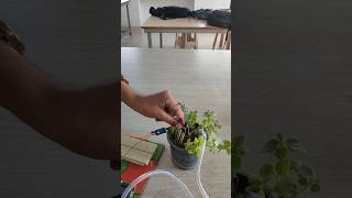 Gadgets soil moisture detectorirrigation system [upl. by Adyht]