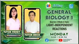 LightIndependent Reactions  General Biology 1  Quarter 24 Week 4 [upl. by Reggie]