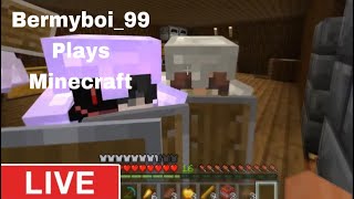 PLAYING MINECRAFT WITH VIEWERS [upl. by Yannodrahc]