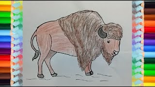 How to draw Bison Buffalo  Bison drawing and coloring fo childrens [upl. by Weissman]