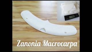 Zanonia Macrocarpa 1100mm 3D printed Flying Wing Glider [upl. by Nekcarb492]