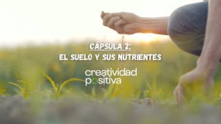 El suelo y sus nutrientes 🌱  Cápsula 2 [upl. by Nrehtac40]