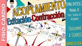 ACOPLAMIENTO EXCITACIÓN CONTRACCIÓN cardíaca Explicación Fácil y FármacosFisiología Cardíaca [upl. by Jackie]